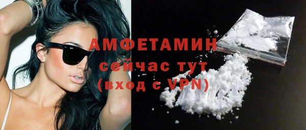 гашик Козловка