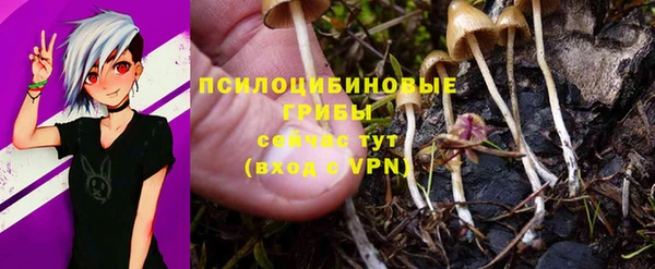 не бодяженный Кодинск
