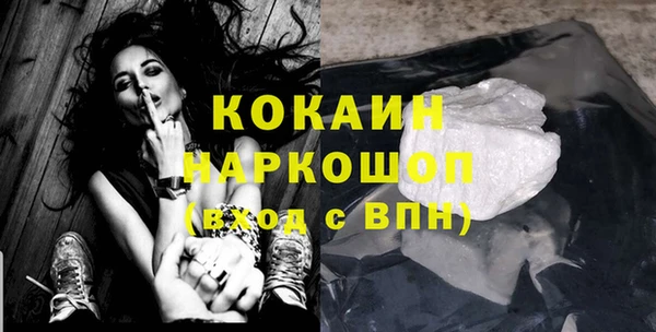 гашик Козловка